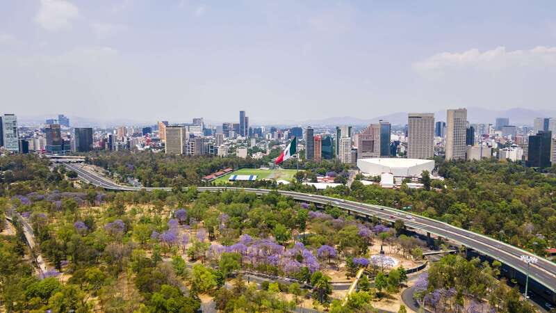 Get lost in the neighborhoods of CDMX on a private tour. - The Sum Up