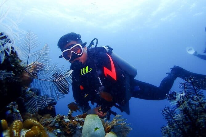 Get SSI Nitrox Certified Includes 2 Liberty Wreck Dives - FAQ