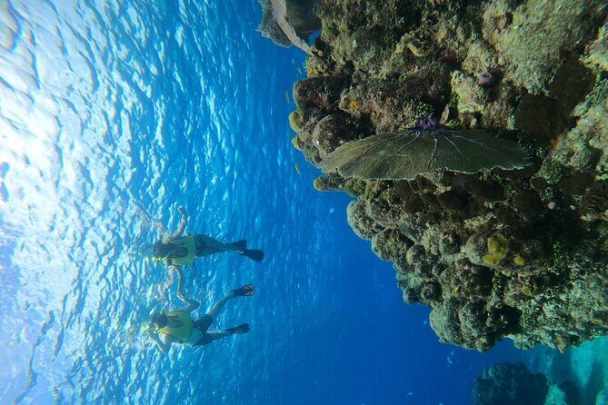 Get to know heaven on earth with Chivis del mar private - Authentic Experiences & Review Highlights