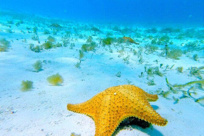 Get to know heaven on earth with Chivis del mar private - FAQ