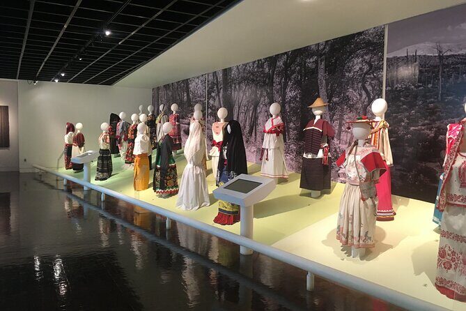 Get to know Mexico through its textiles and embroidery. - A Practical Guide to the Textile & Embroidery Tour in Mexico City