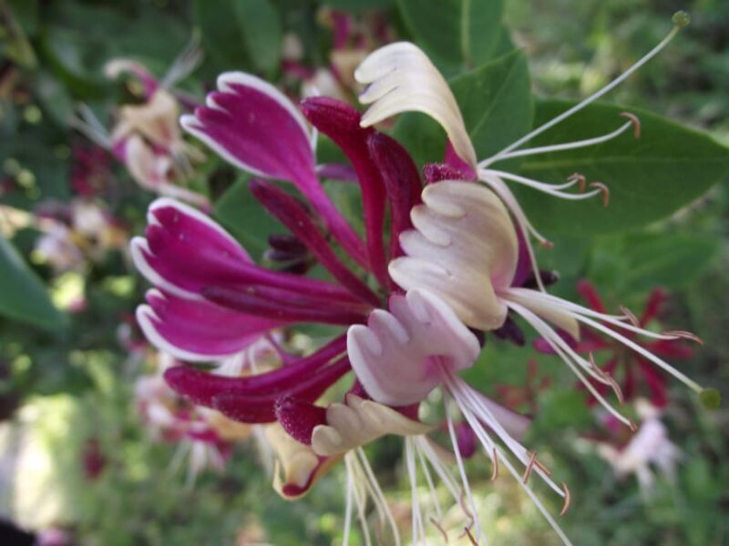 Get to know South Moravia with us. 6 hour tour. - Final Thoughts