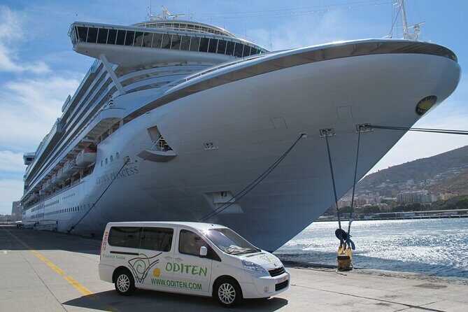 Get to know the Teide National Park and the north of Tenerife on a private tour - Who Would Love This Tour?