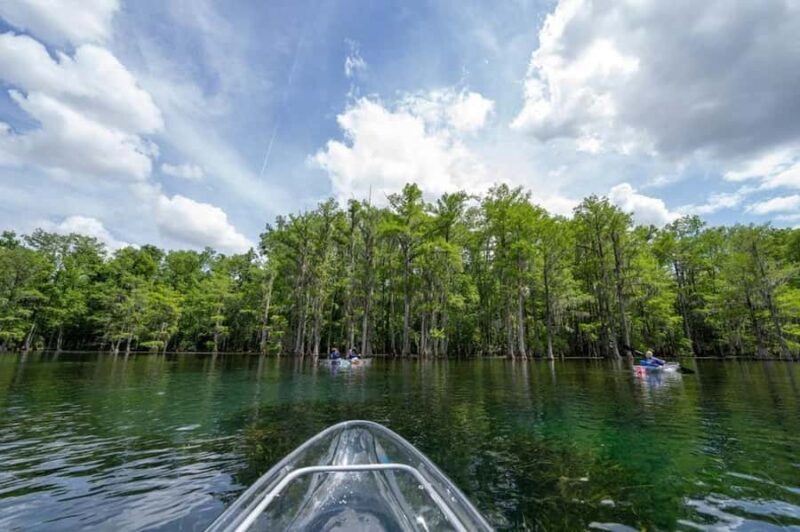Get Up And Go Kayaking Clear Kayak Eco Adventure - A Closer Look at the Tour Experience