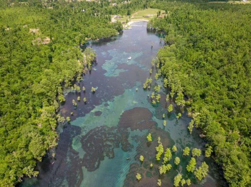 Get Up And Go Kayaking Clear Kayak Eco Adventure - Who Will Love This Tour?