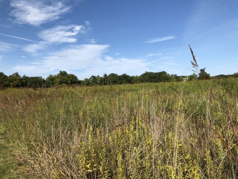 Gettysburg: Beer, Wine, and History Guided Walking Tour - Value and Overall Impression
