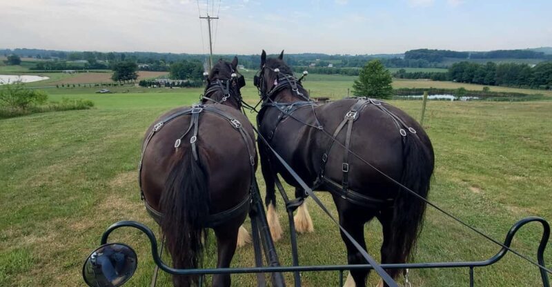 Gettysburg: Horse-Drawn Carriage Tour Countryside & Orchards - An Overview of the Experience