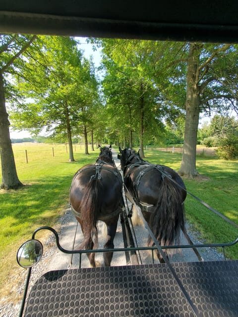 Gettysburg: Horse-Drawn Carriage Tour Countryside & Orchards - The Farm and Its Surroundings