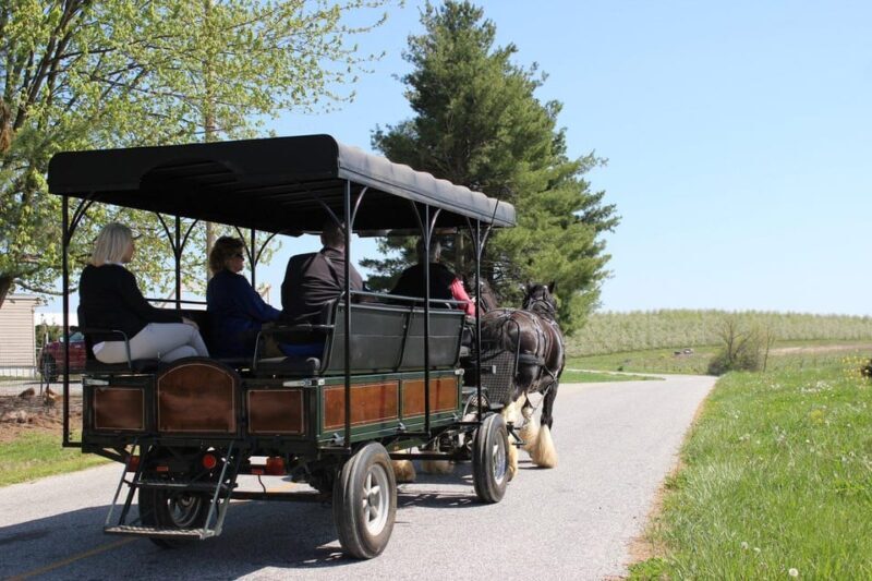 Gettysburg: Horse-Drawn Carriage Tour Countryside & Orchards - The Value of the Tour