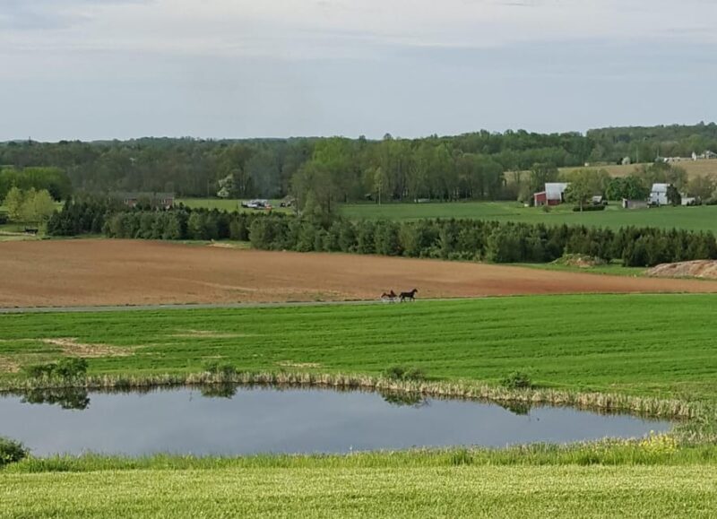 Gettysburg: Horse-Drawn Carriage Tour Countryside & Orchards - Practical Tips for Participants