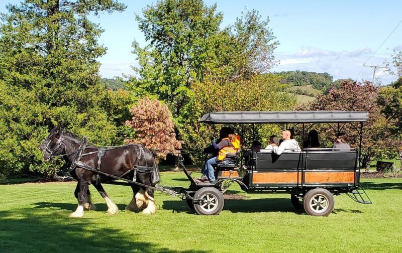 Gettysburg: Horse-Drawn Carriage Tour Countryside & Orchards - Authentic Reviews and Insights