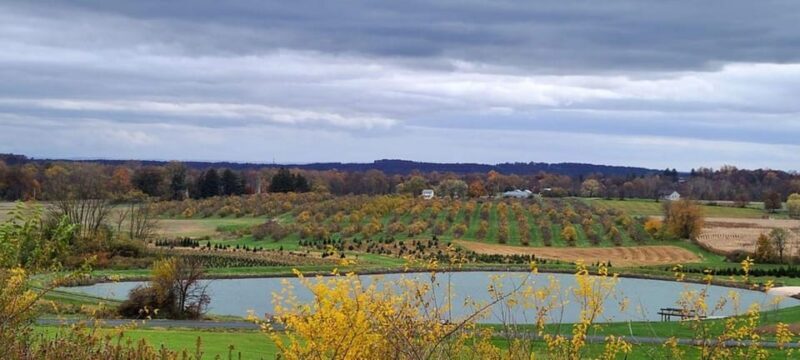 Gettysburg: Horse-Drawn Carriage Tour Countryside & Orchards - The Sum Up