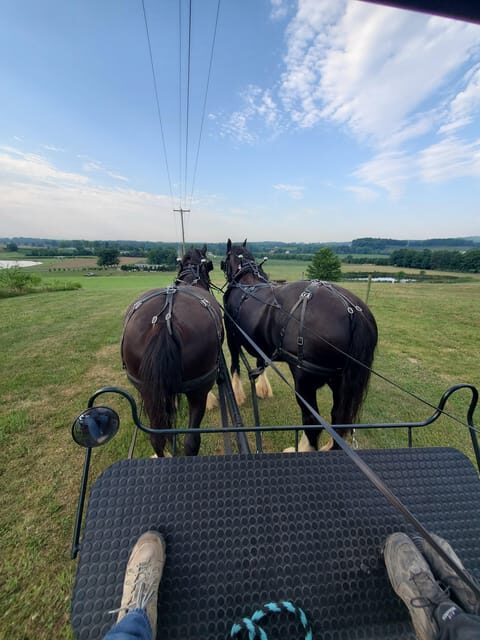 Gettysburg: Horse-Drawn Carriage Tour Countryside & Orchards - FAQs