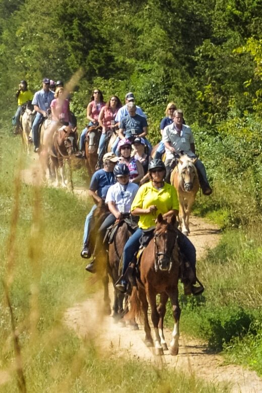 Gettysburg: Licensed Guided Battlefield Horseback Tour - The Sum Up
