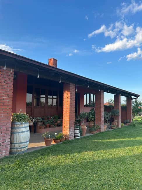 Gevgelija: Jostela Winery Wine Tasting Tour - A Deep Dive into the Jostela Winery Experience