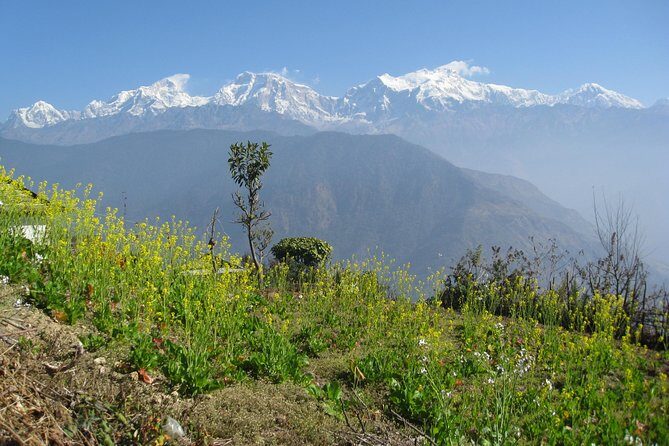 Ghalegaun Homestay tour - The Sum Up