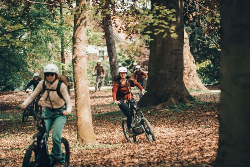 Ghent: Green Snake E-Step Tour with Local Guide - Key Points