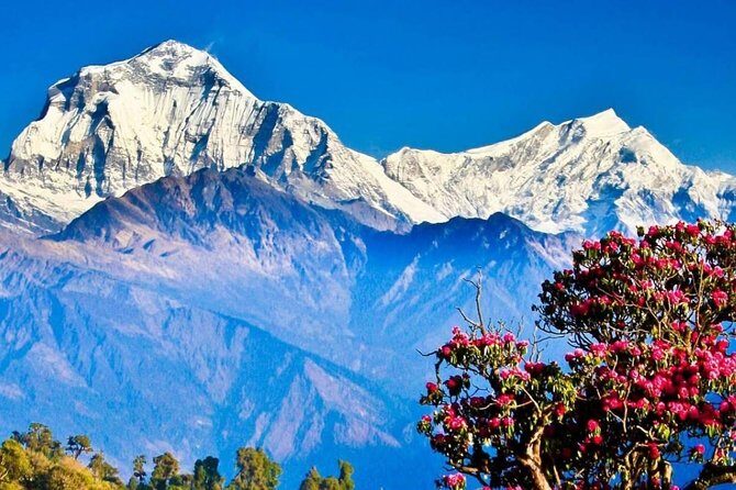 Ghorepani Poon Hill Sunrise Trek - An Honest Look at the Ghorepani Poon Hill Sunrise Trek