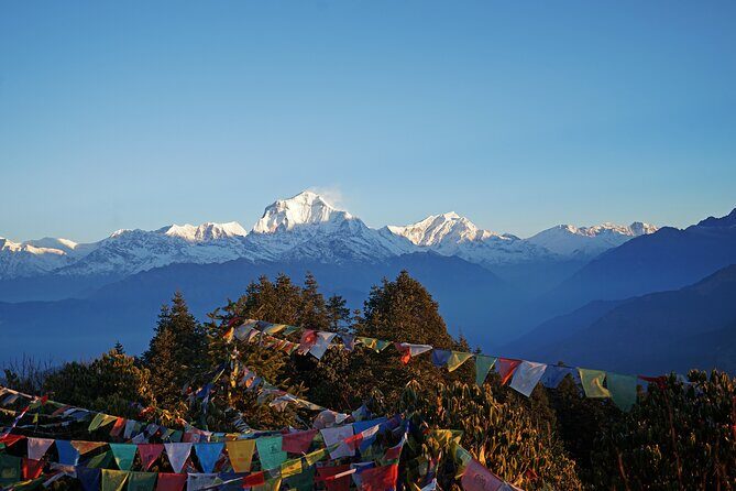Ghorepani Poon Hill Trek - The Detailed Experience