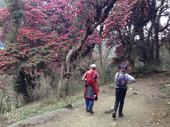 Ghorepani Poon Hill Trek - Considerations and Who Should Book