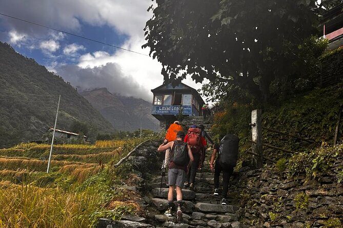 Ghorepani Poonhill Private Trek - 2 nights / 3 days - Descending and Returning to Pokhara