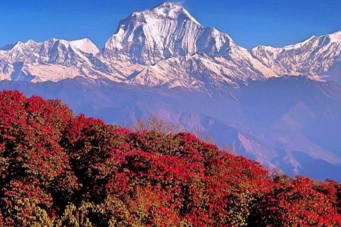Ghorepani Poonhill Trek -8 Days - Breaking Down the 8-Day Itinerary