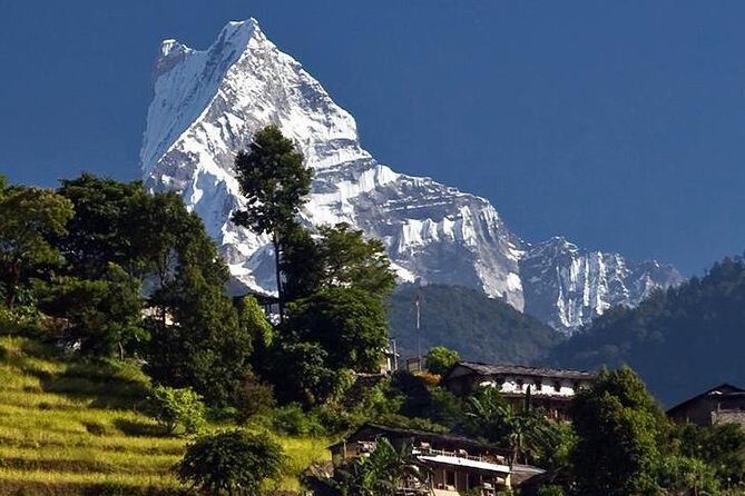 Ghorepani Poonhill Trek -8 Days - Practical Tips