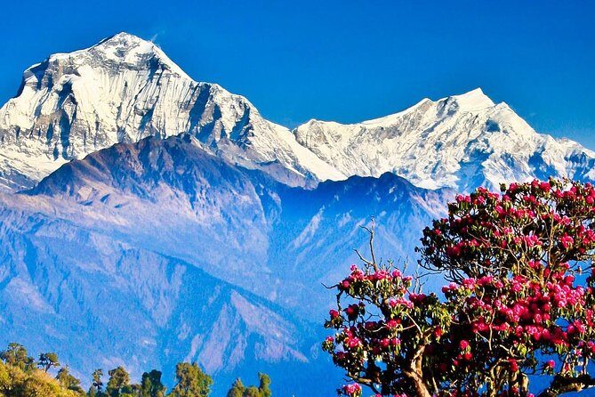 Ghorepani Poonhill Trek -8 Days - Who Is This Trek For?
