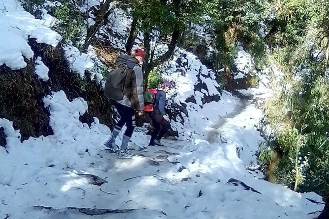 Ghorepani Poonhill Trek - FAQ