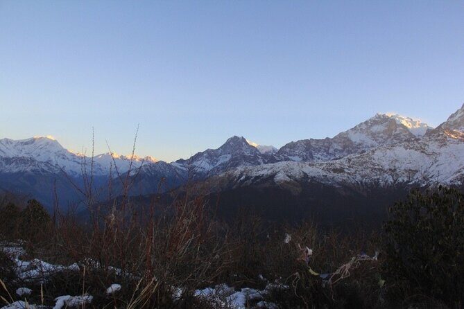 Ghorepani Poonhill Trek from Pokhara - 4 Days - Pricing & Value