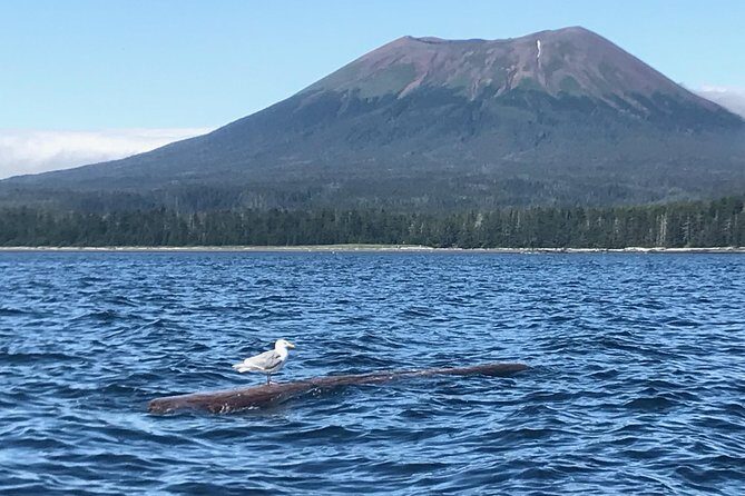 Ghosts of Historic Sitka - Walking Tour - Authentic Insights from Reviewers