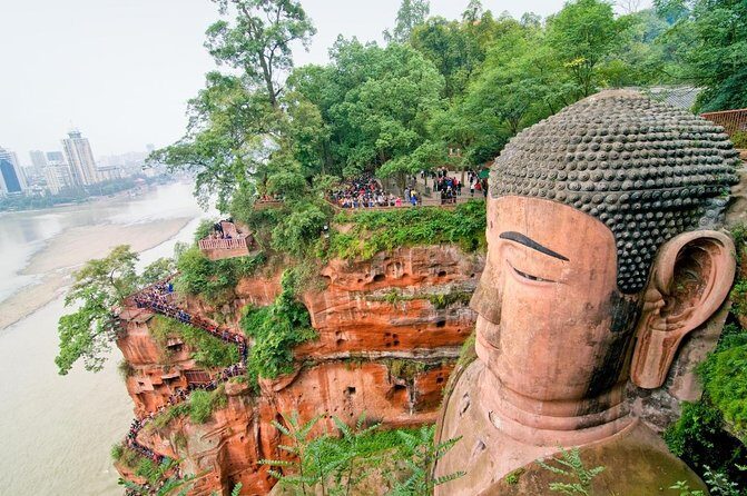 Giant Panda and Leshan Buddha Day Trip from Chengdu - Key Points