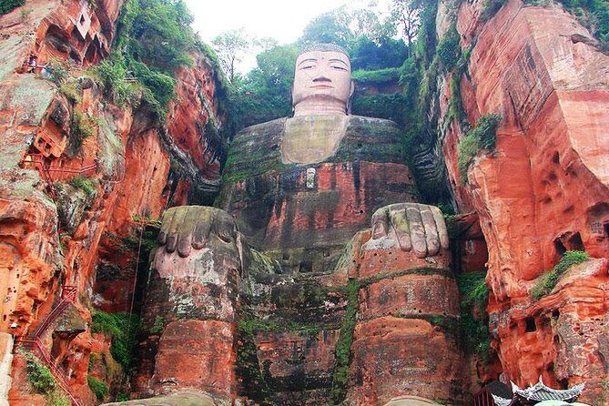 Giant Panda and Leshan Buddha Day Trip from Chengdu - Practical Considerations & Value