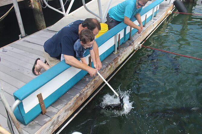 Giant Tarpon Fish Feeding Experience in Bayside Marketplace - Practical Tips for Participants