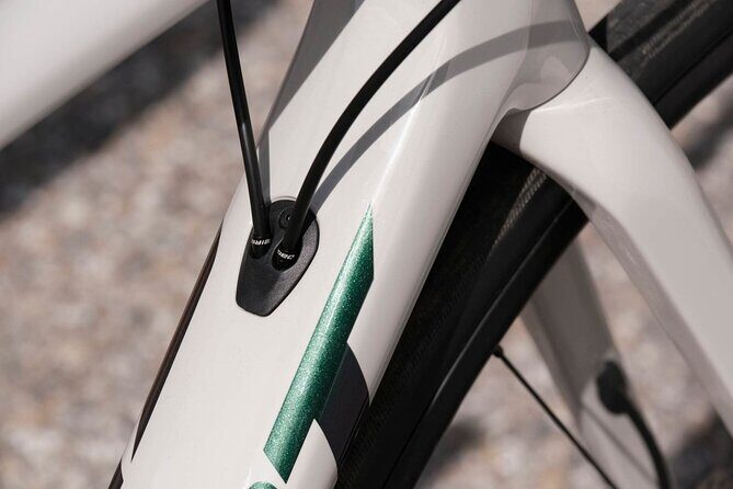 Giant TCR Advanced 2 - Authentic Experiences and Real Traveler Insights