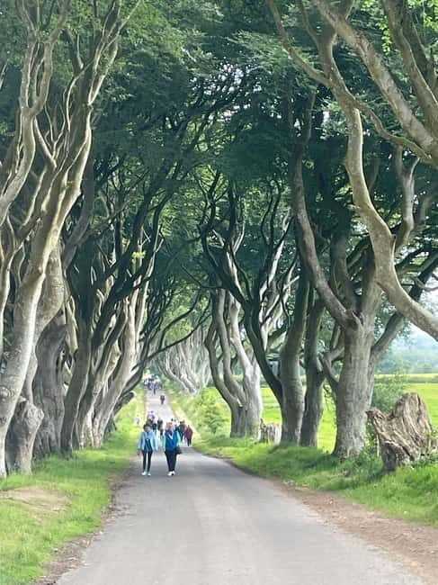 Giants Causeway 4 Hour Private Tour - Who Is This Tour Best For?