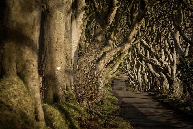 Giant's Causeway and more including Titanic Experience Ticket Tour from Belfast - An In-Depth Look at the Tour Experience