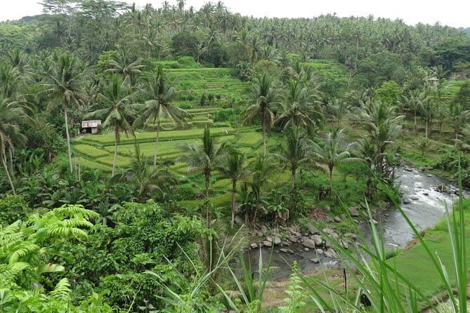 Gianyar Waterfall eBike Private Tour - Final Thoughts