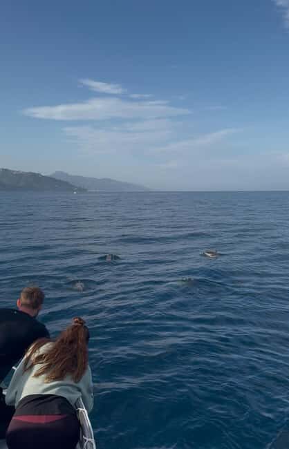Giardini Naxos: Dolphin Searching Sunset Boat Tour - Practical Details and What to Expect