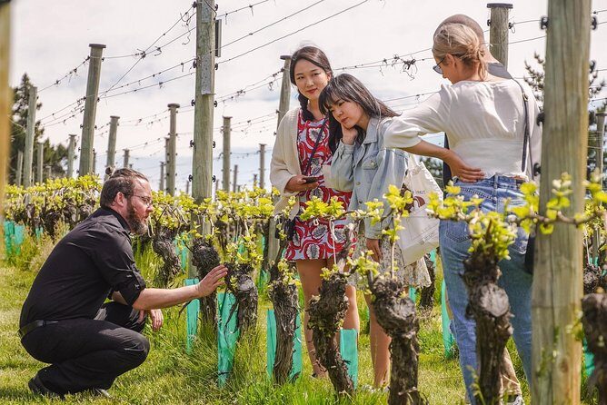 Gibbston Valley Wines - Cave Tour - Who Should Consider This Tour?