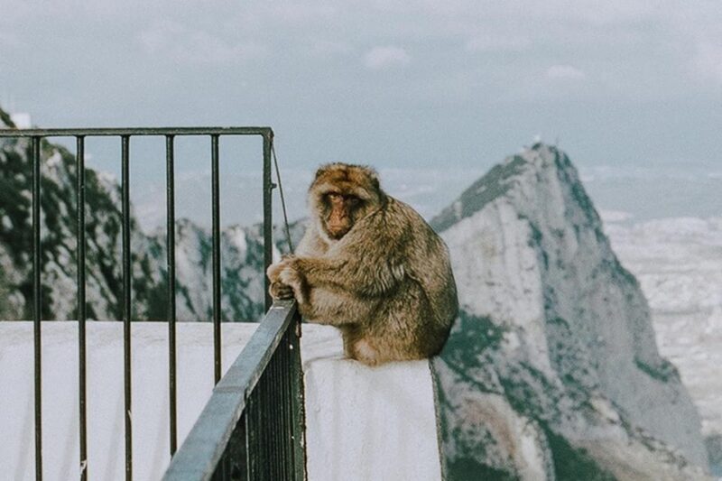 Gibraltar Day Trip from Seville - Key Points