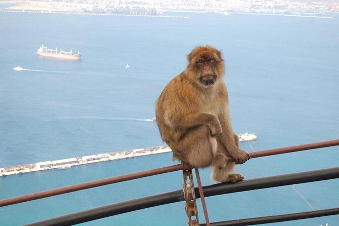 Gibraltar Day Trip from Seville - Transportation & Logistical Details