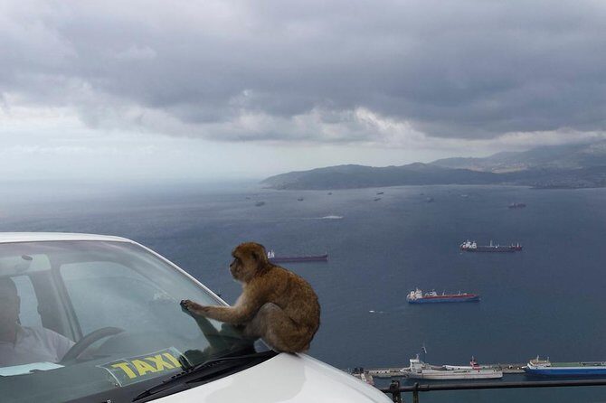 Gibraltar Day Trip from Seville + Rock Tour - Who Will Love This Tour?