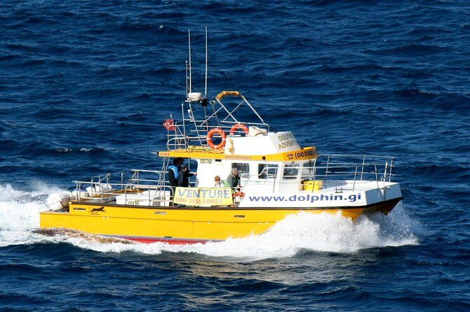 Gibraltar Dolphin Adventure - Final Thoughts