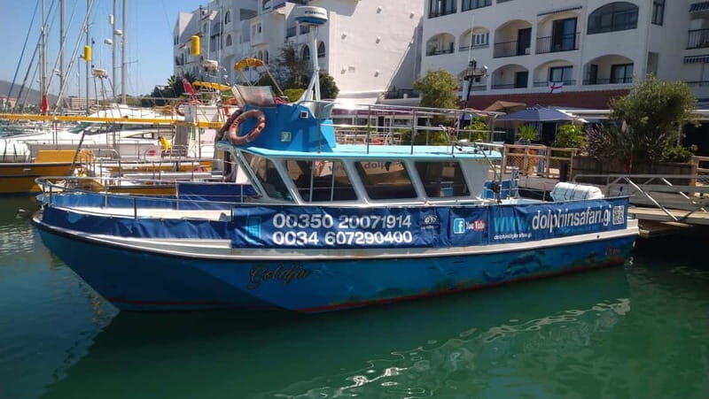 Gibraltar: Dolphin Watching Boat Tour V.I.P - Why This Tour Offers Great Value