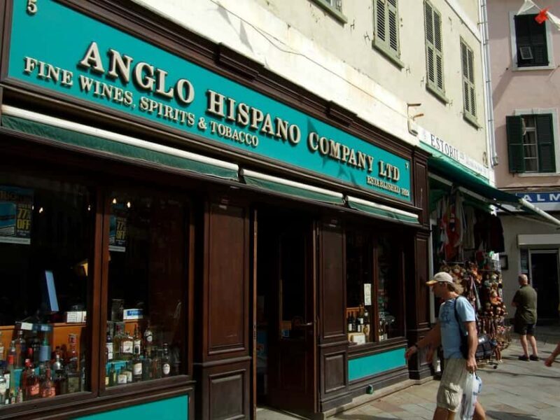 Gibraltar Express Sightseeing Full Day from Costa del Sol - Detailed Review of the Gibraltar Express Sightseeing Tour