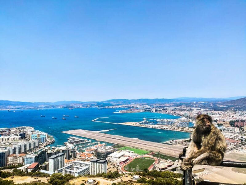 Gibraltar: premium private day trip & Rock tour - Who Will Appreciate This Tour?