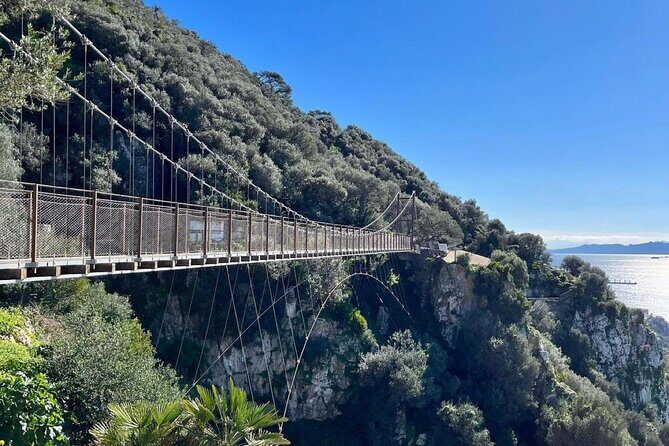 Gibraltar Private Daytrip From Malaga - Key Points