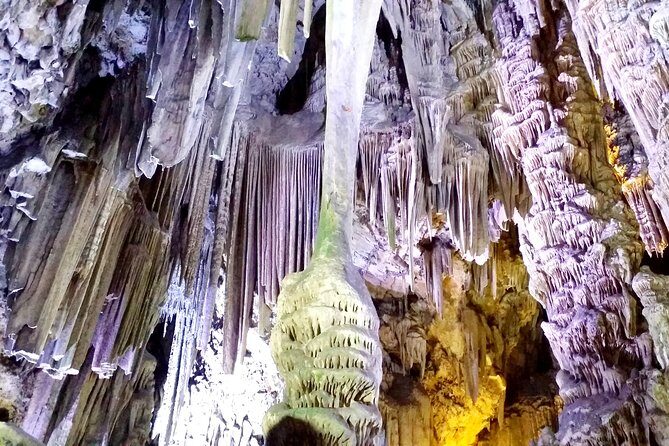 Gibraltar private tour from Marbella or Malaga - The Practical Side: What to Expect