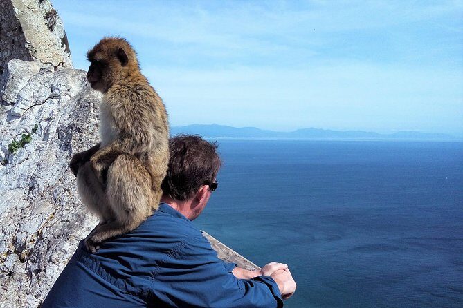 Gibraltar private tour from Marbella or Malaga - The Sum Up: Who Will Love This Tour?